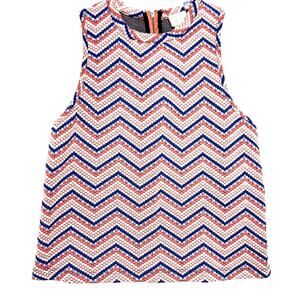 Anthropologie Postmark Multi Color Chevron Print Sleeveless Top Small